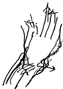 Hand's structure is also made up of simple symmetries.