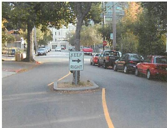 A tree planted in a Berkeley street fulfils a similar function but creates living structure instead of destroying it