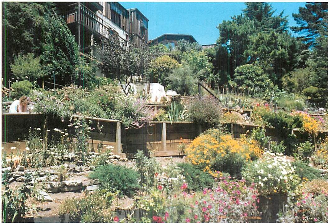 The garden before the Uphams bought the land