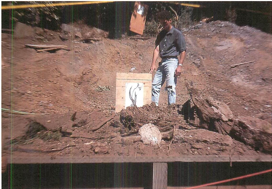 Holding up a full-sized drawing of a lily, in the rough position on the site where it would occur, to see if it feels harmonious and fitting.