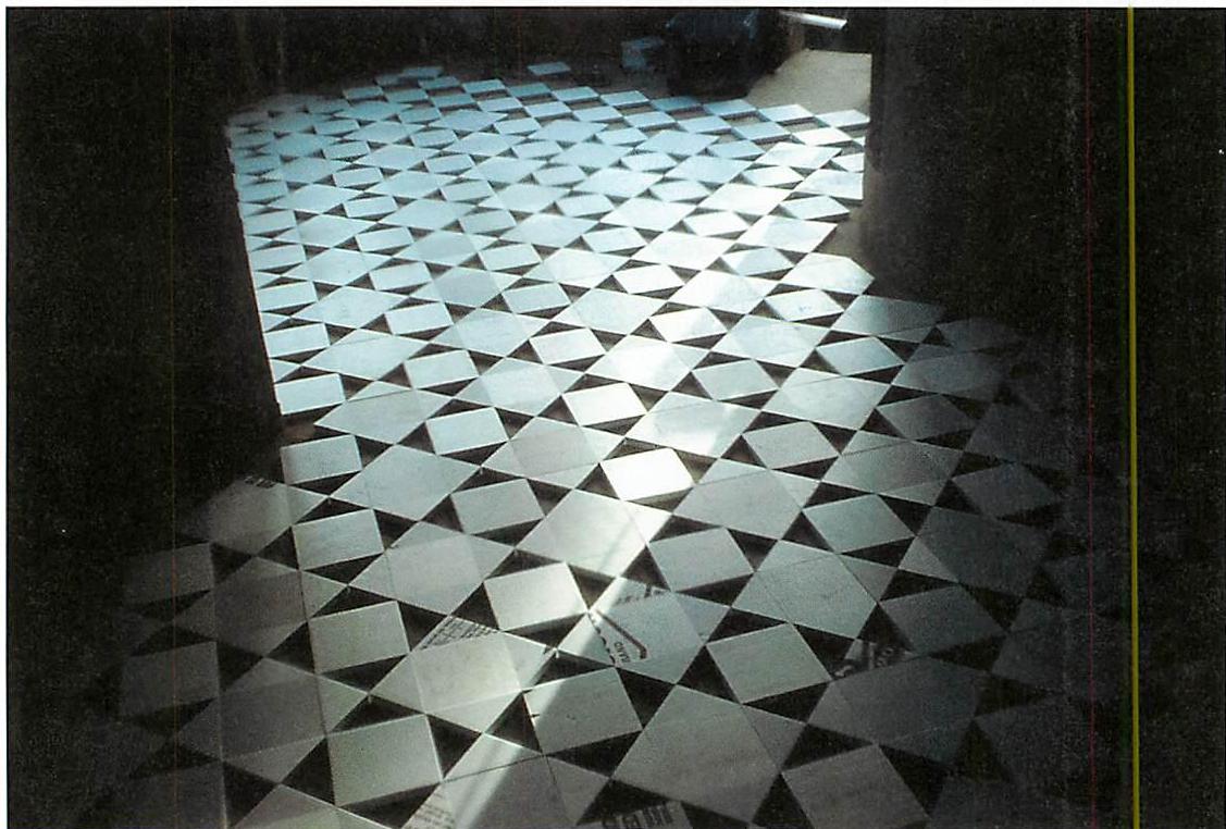 Styrofoam forms from the making of the kitchen floor, in preparation for the first colored terrazzo to be poured into the voids between the pieces of styrofoam (white)