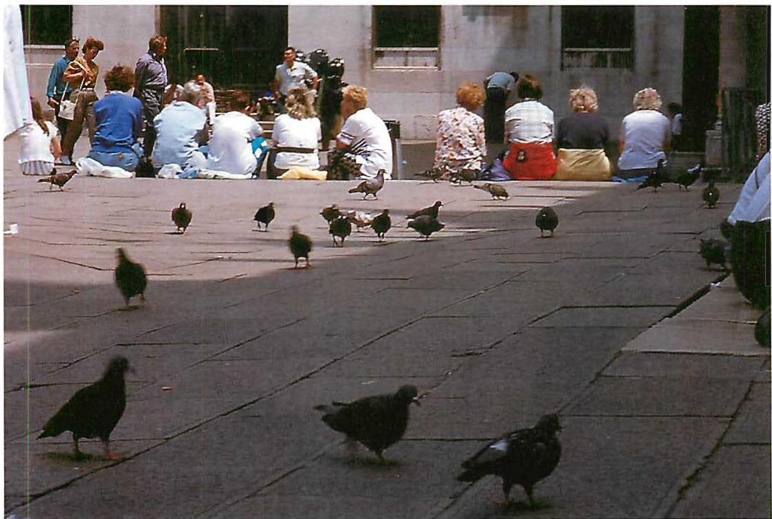 A corner of St. Mark's Square, Venice