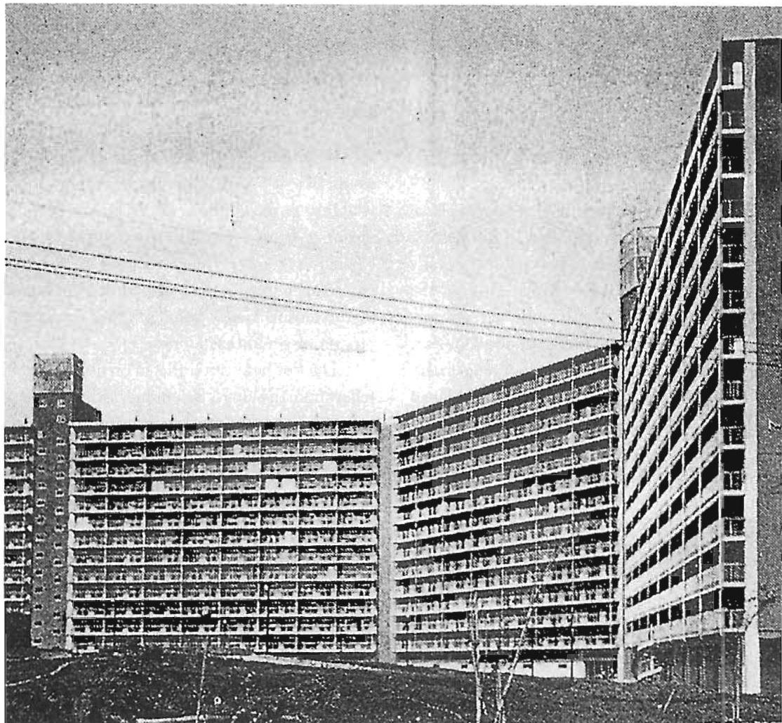 NOT BELONGING: Extremes of not-belonging. Public space and individual space are shattered. There seems to be nothing we can do about it.