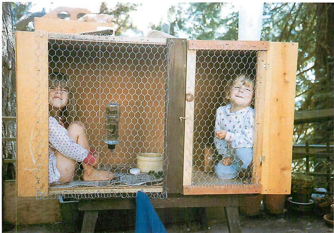 Children in the rabbit hatch.