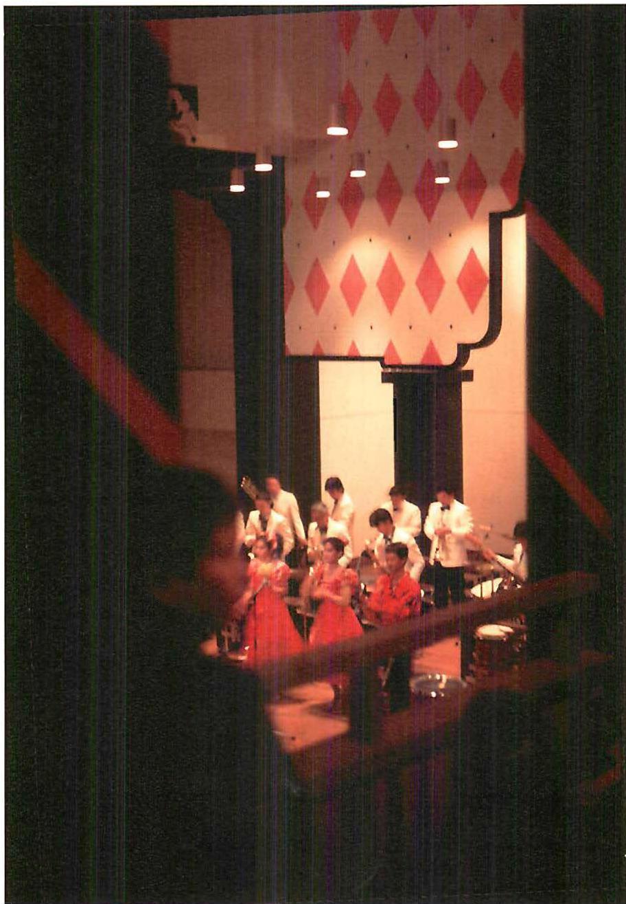 Detailed view of the performance, 1989.