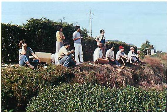 Looking and working out where to place the flags