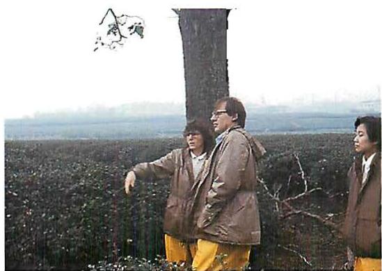 Chris and Ingrid: more looking and working things out