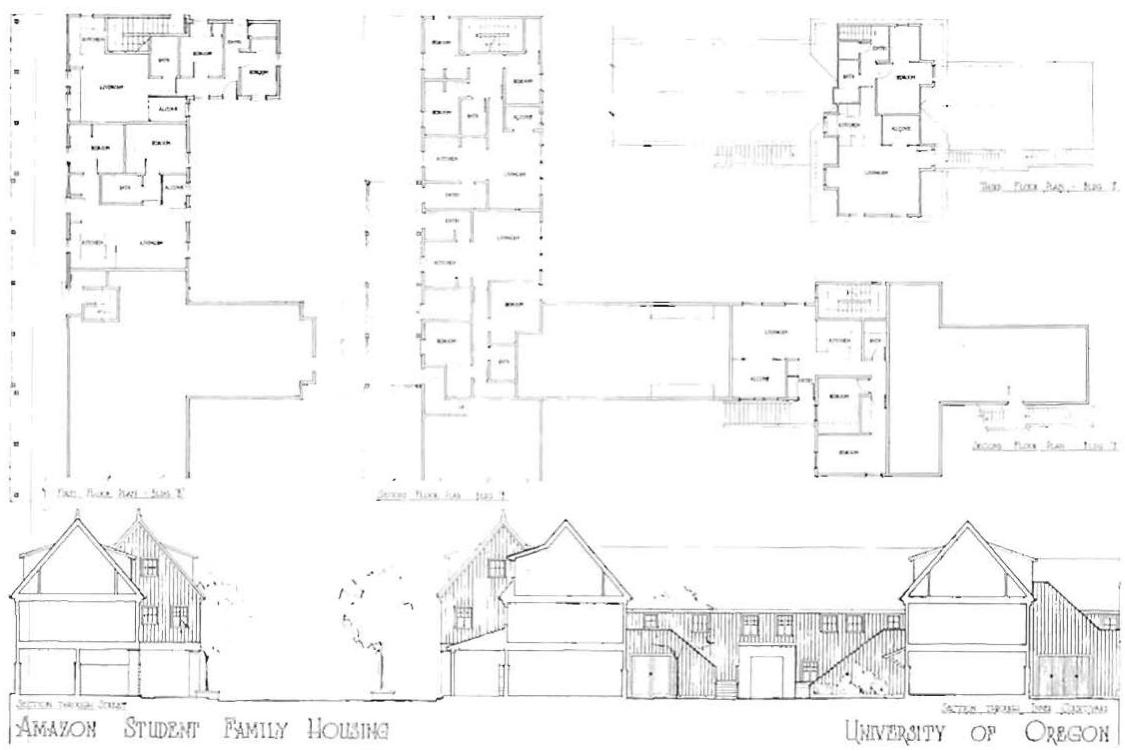 The Amazon project, showing buildings and details in the fundamental process allowed us to define them