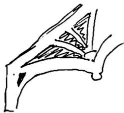 19a. Reducing shears at the bearing points