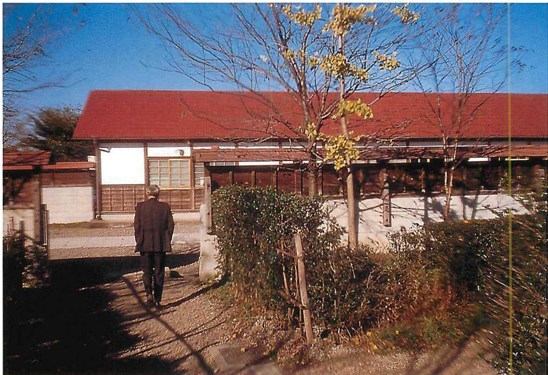 Hosoi walking in the garden towards the spot where the Kiri tree once stood.