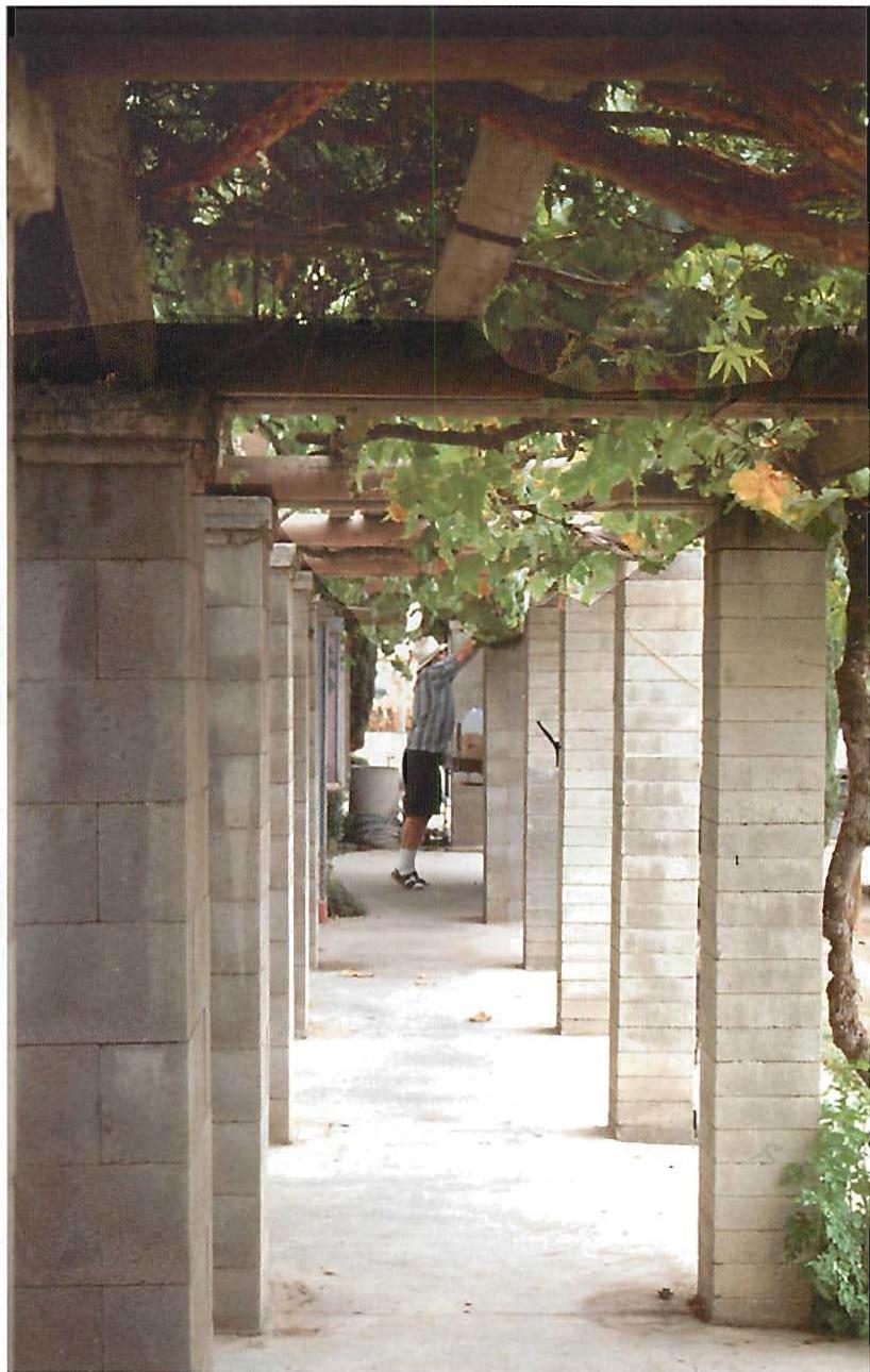 Positive space: A back aisle of the farmer's market in Fresno. Concrete blocks, columns, vines, in early morning before the market opens, while farmers set up their stands. Christopher Alexander, Carl Lindberg, Richard Erganion.