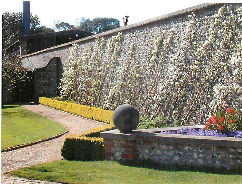 The gardens at West Dean, ten years after the first cost plan and conception. The armaments planned for in the original cost plan—made long before I had the faintest idea what they might become—are now playing their role.