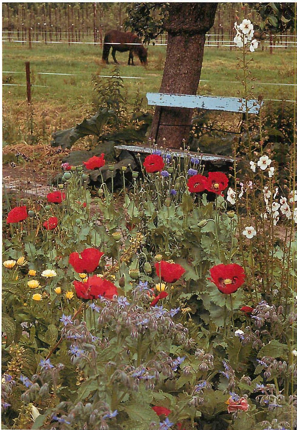 Dutch painter's garden in Renwe region, Holland, 1997