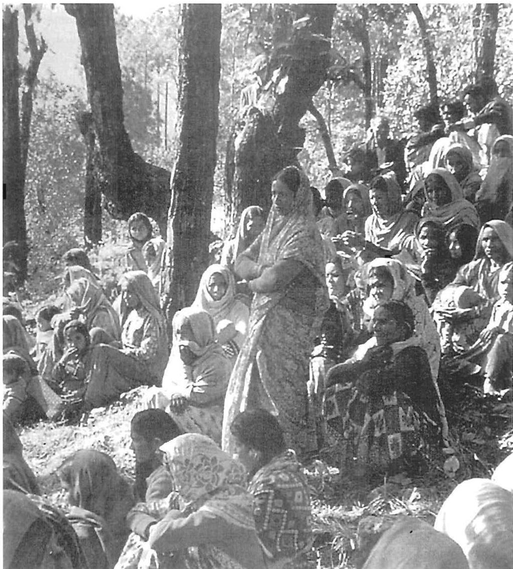 Another kind of community deciding its future. Women's resistance to deforestation, Chipko movement, Reni, Uttar Khard region, Himalayas, 1974