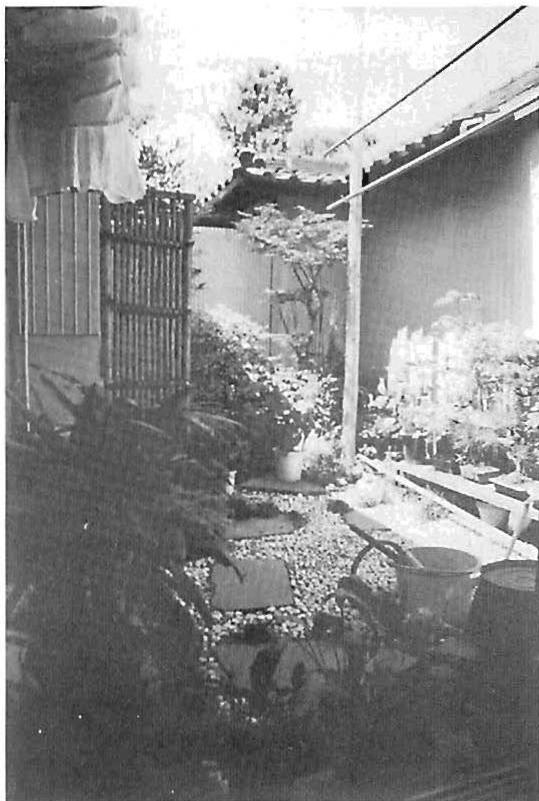 An existing tiny garden in Nagoya, 2.2 meters by 3.85 meters, showing how even the smallest garden means a great deal to people and is considered practical and useful in Japan today.