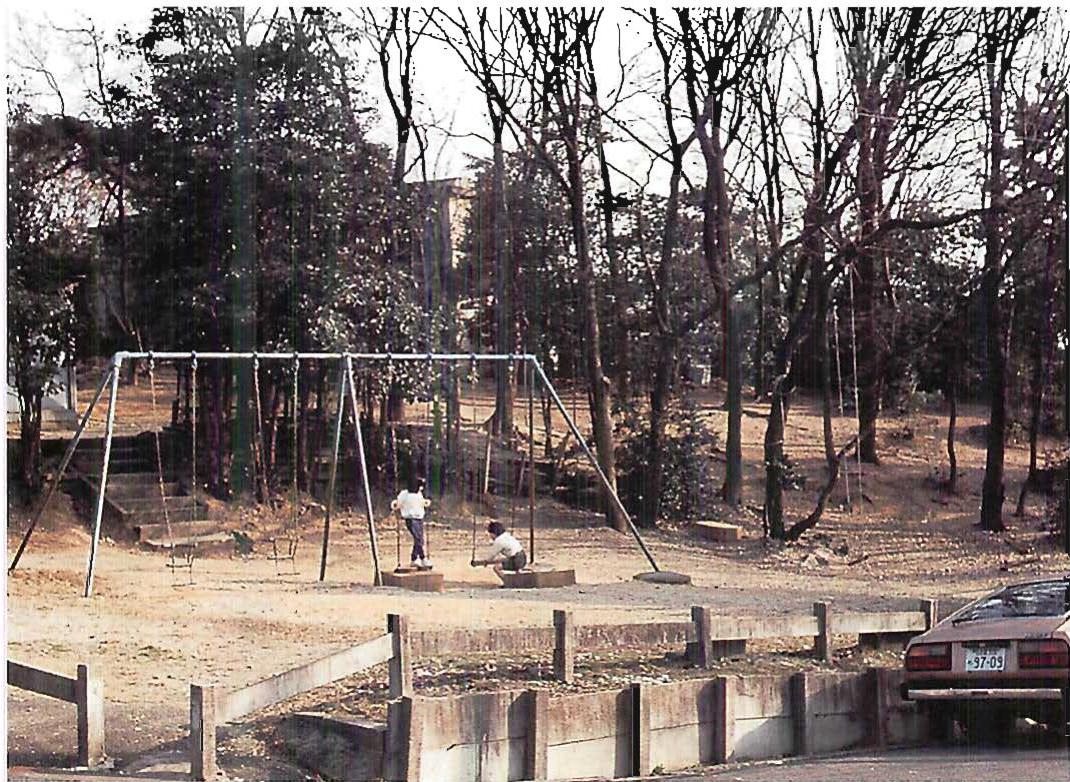 The central street, as it was, and which people wanted to keep as the central spine of their new neighborhood.