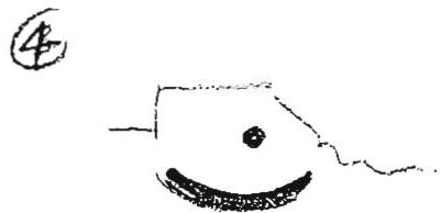 Step 4: Introducing a second element within the concavity