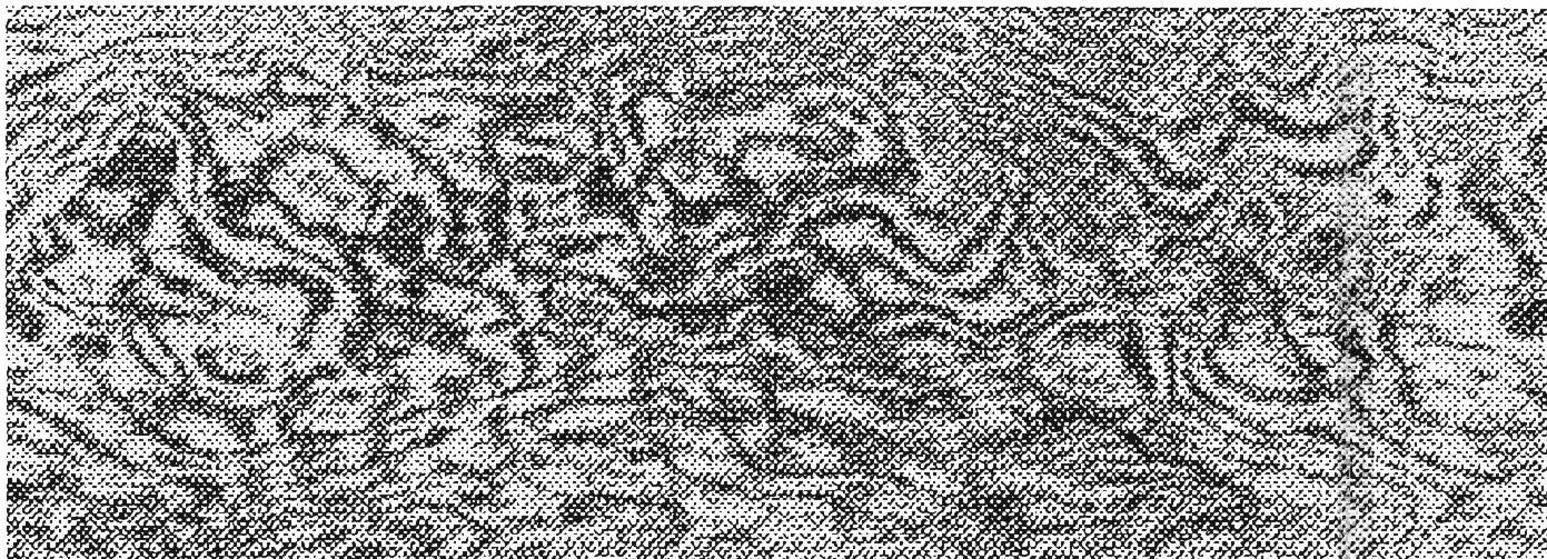 One of Cyril Stanley Smith's examples: the microstructure of a Persian sword with exceptionally fine steel.