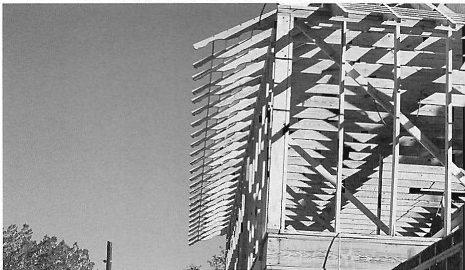 Shaped rafter tails to form a roof edge and cove. The cove is more complex, and made a better center, by the shape of the tails. Back of the Moon project, Texas.