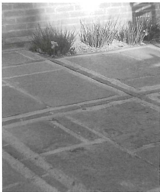 Left: Other paving at West Dean, stone paving on the terrace. Right: Small stair indoors, limestone steps & apple wood pinching.