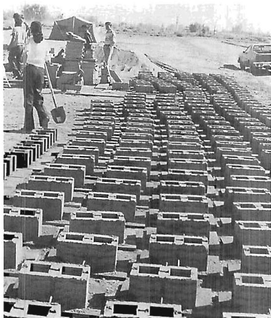 Foundation blocks after molding curing in our yard.