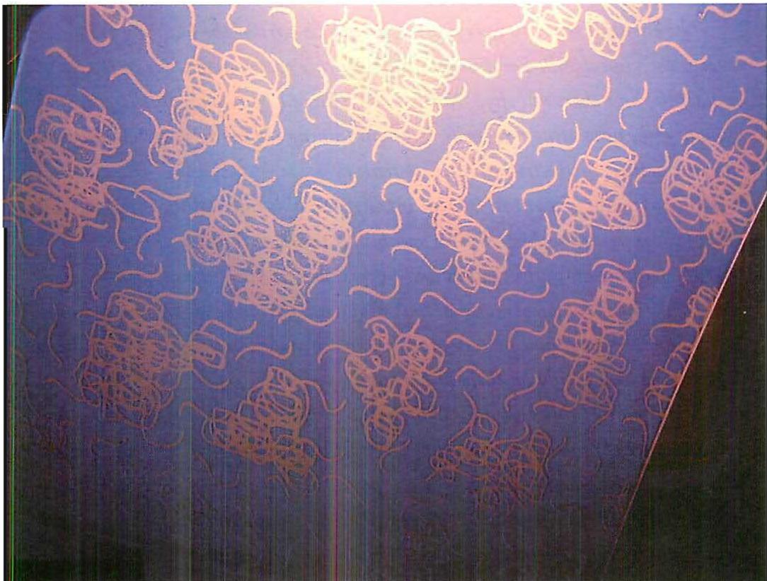 Experimental glass panel. A hand-drawn design for clouds, was first sketched, then transferred to Photoshop, then transformed by a photographic process onto glass, which was then fabricated to form panels for a curved, vaulted luminous ceiling about 25 meters by 50 meters. The complete ceiling is shown on page 563. Image and computer files, Christopher Alexander; fabrication of this sample panel, Larry Berk.