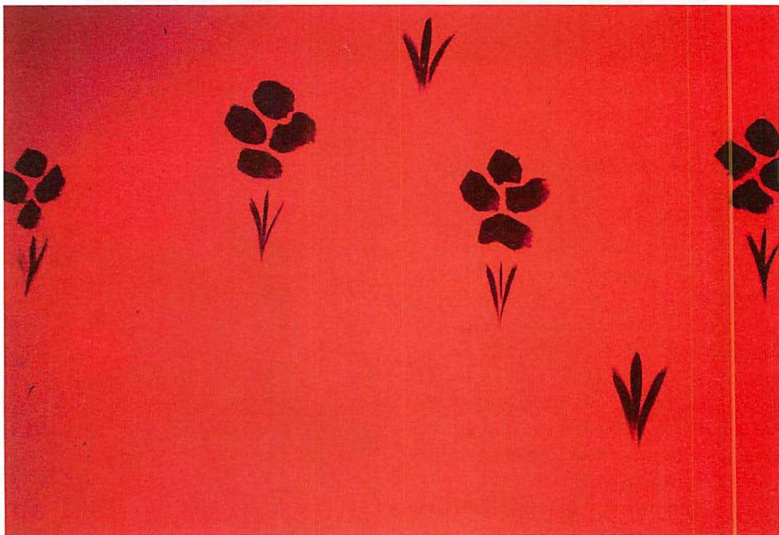 Flowers painted on the walls of the Linz Cafe.