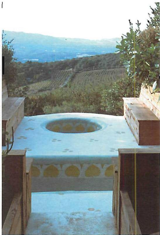 The Sarlo hot tubs visible against the vineyards and hills of St. Helena, California, 1986.