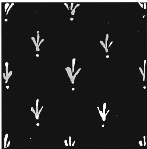 Tile from my workshop. White slip on black glaze, 1980.