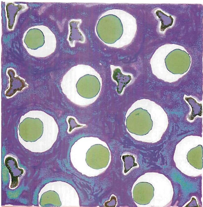 The tile with green eyes. Ornamental tile from my workshop, Christopher Alexander, 1984.