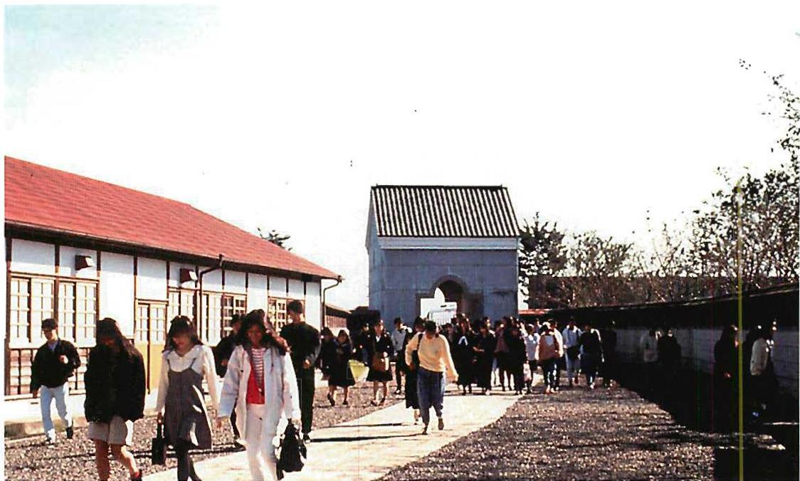 A very ordinary pathway: the entrance street of the Eishin campus. It is extremely simple—but indeed so simple that many architects might fail to do it on the grounds that it is not