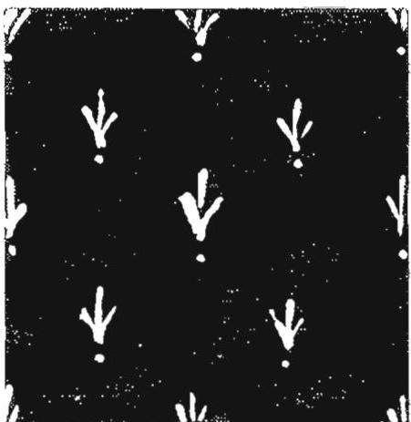 Hand painted tile, black glaze, white slip