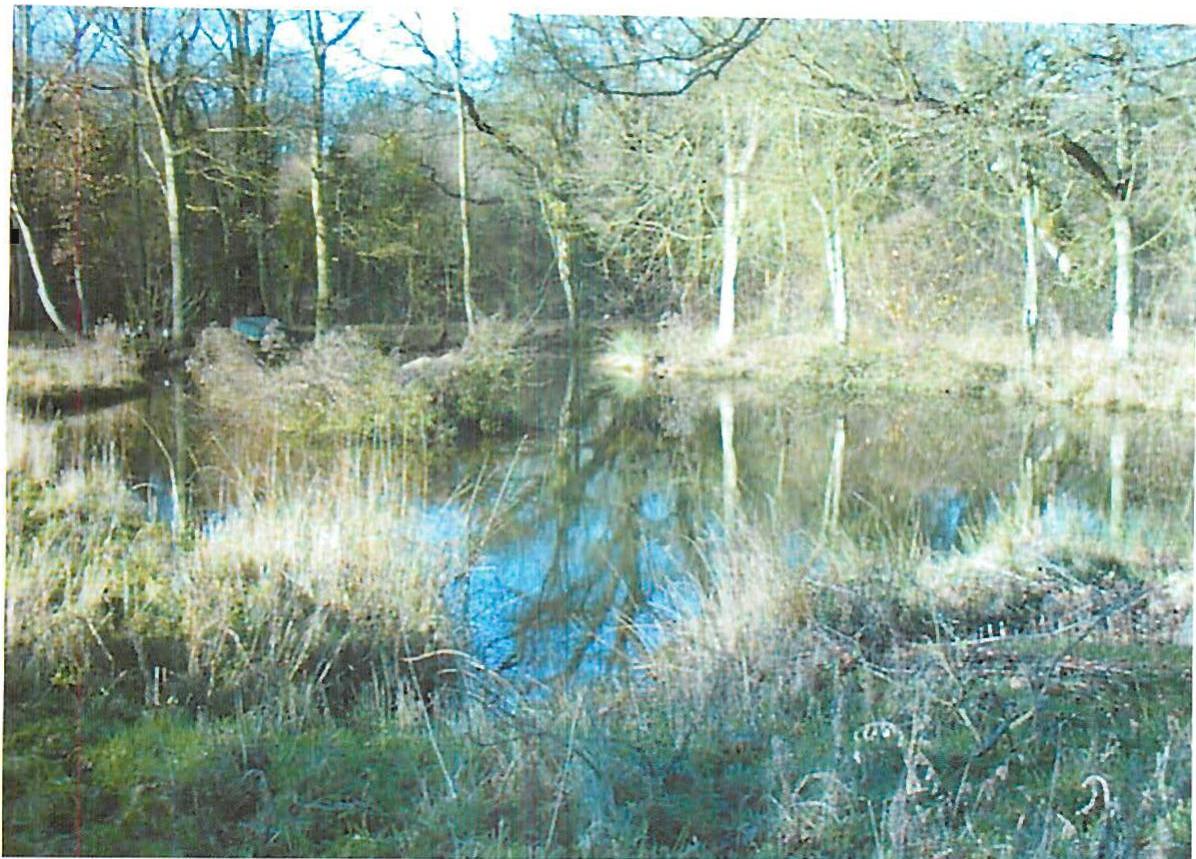 In this place I feel myself related to every part of it.