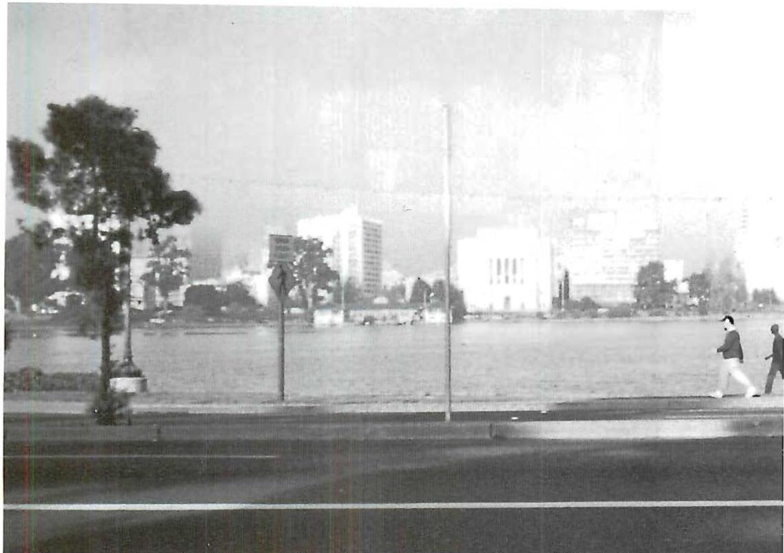 The shore of Lake Merritt, Oakland, California. Here there are fewer beings, the centers are barely living.