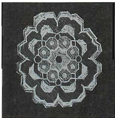 My sketch of the blossom center shown above. Even though this sketch shows the detailed forms and centers that make the blossom I-like and gives a hint as to why it is profound, still, I have not captured the intensity of the real thing at all.