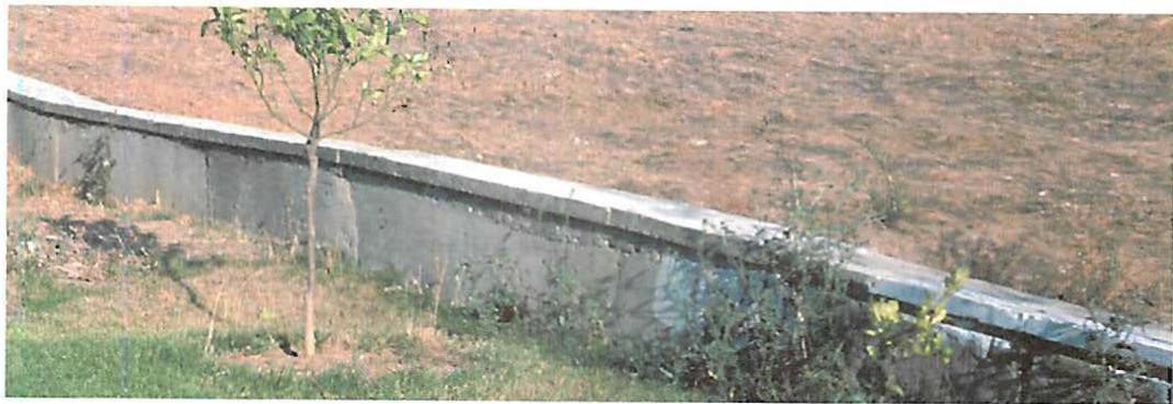 A wall that is simple and massive and contains, in each part, the self.