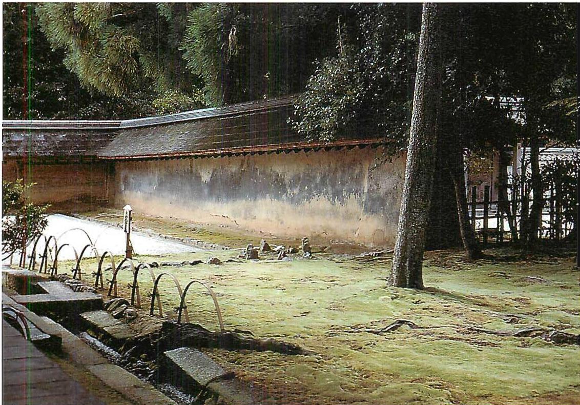 The mass garden of Ryo-an-ji, Kyoto