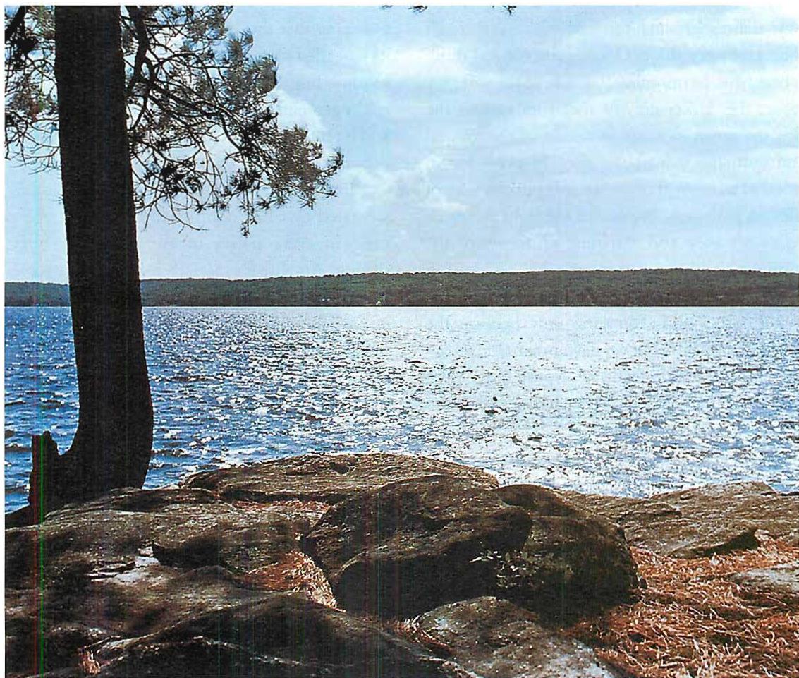 Little Hawk Lake. Ontario: colors of sky and tree and water