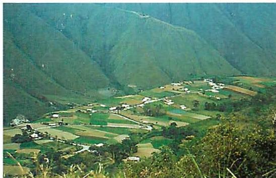 Greens of an inland valley