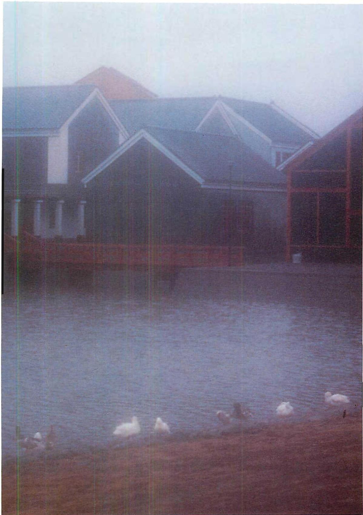 The buildings around the lake at Eishin