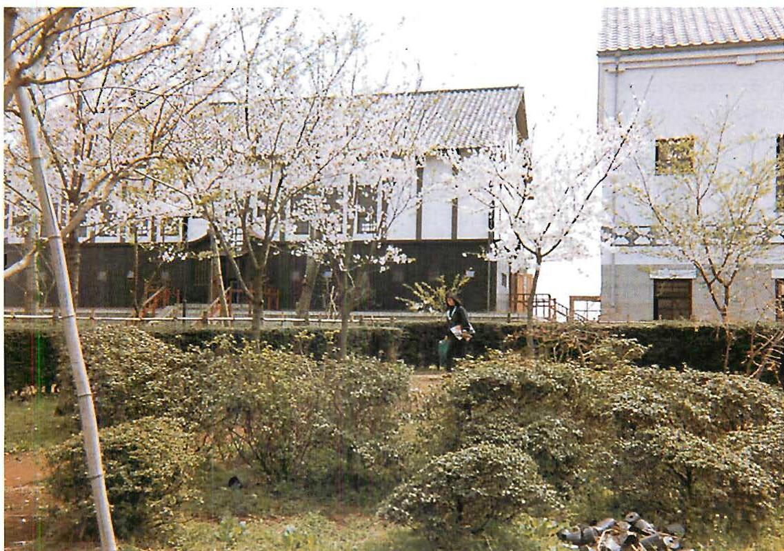 Living centers as numifolded