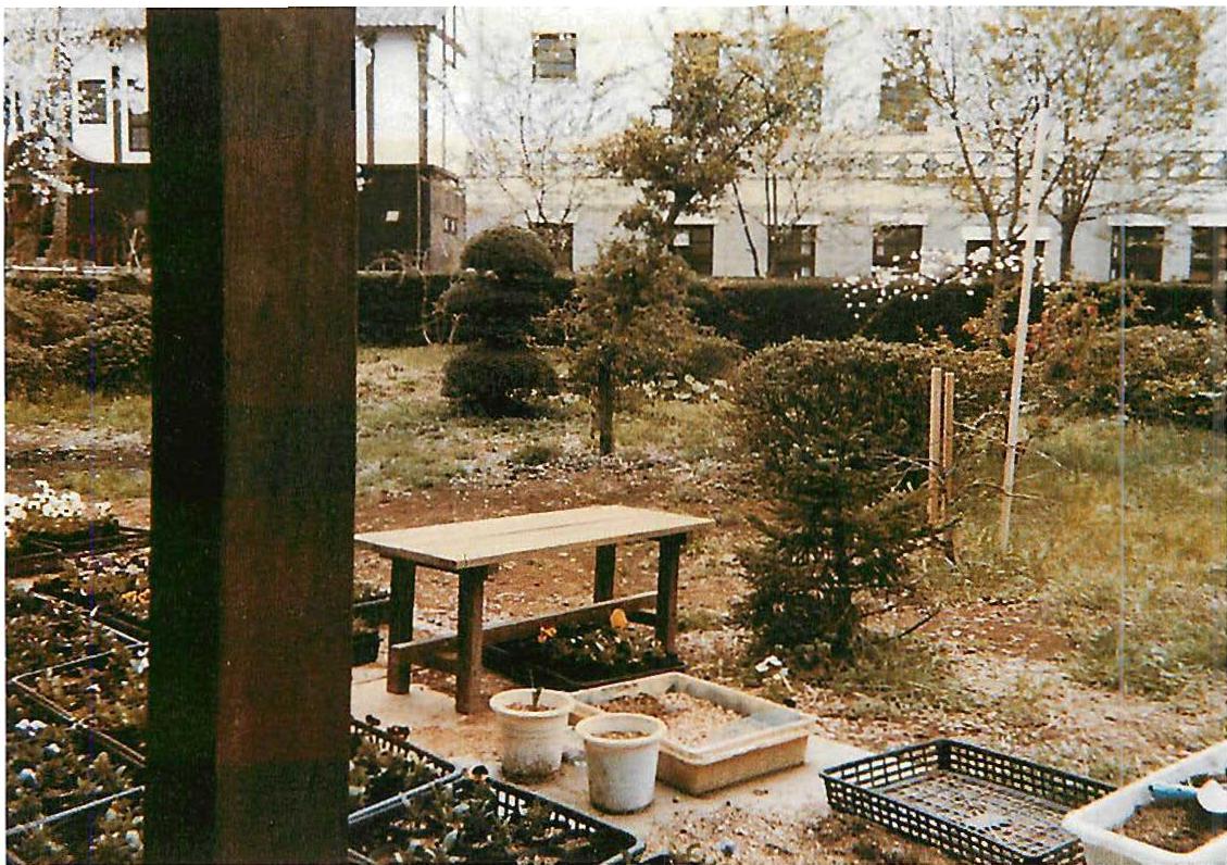 The harmony of everyday life: Pots, seedlings, columns, bushes