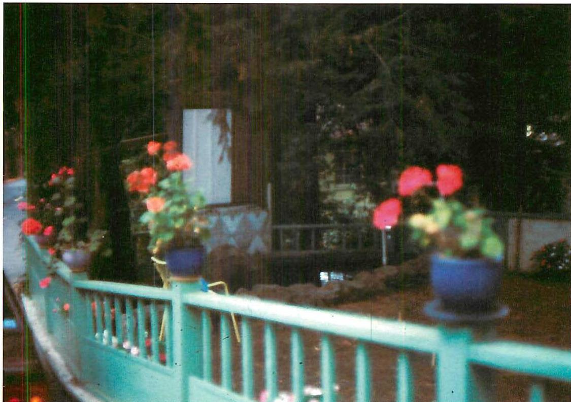 Sadness and beauty in a garden and its fence