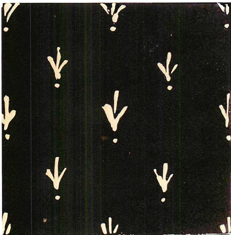 White slip on black glaze, one of the few times when I felt I had reached something close to the real thing: It is significant, perhaps, that this work is only six inches across. The bigger it gets, the harder it is.